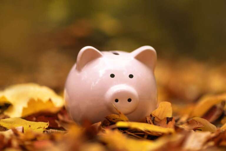 Piggy bank in autumn leaves